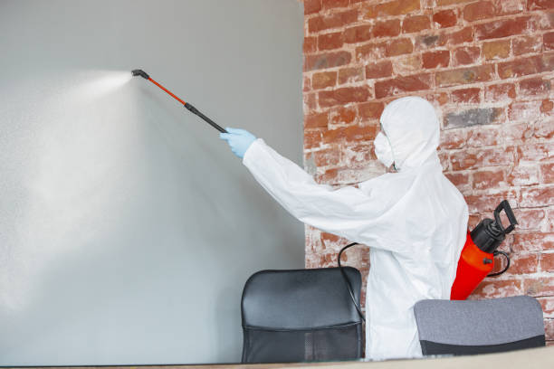 Trusted Garden Home Whitford, OR Mold Removal Experts