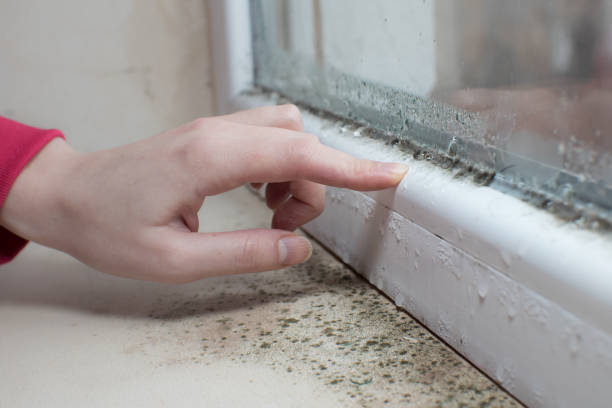 Best Mold-Related Health Consultation  in Garden Home Whitfd, OR