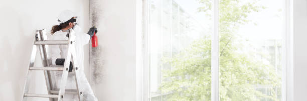 Best Attic Mold Removal  in Garden Home Whitfd, OR